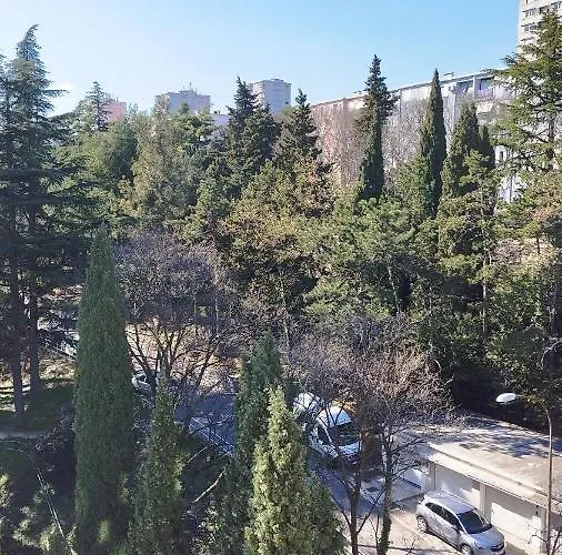 Apolonija רייקה