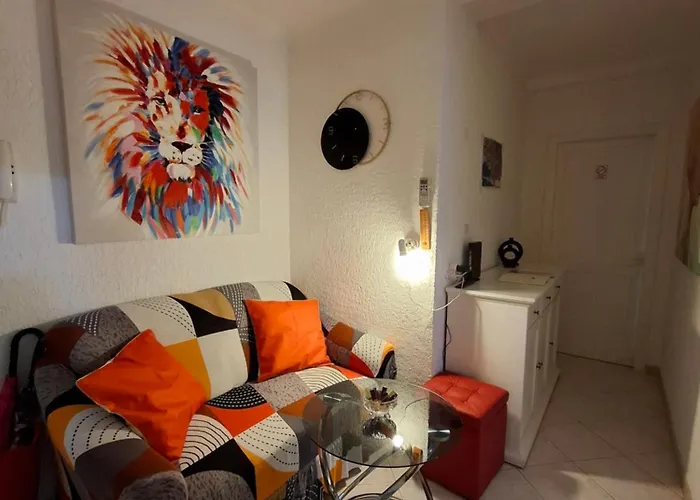 Apolonija רייקה